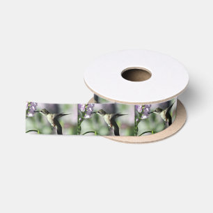 Hummingbird Pink Floral Wildlife Foto Lint
