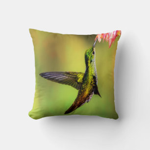 Hummingbird Pink Flower Bird Kussen