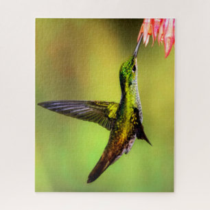 Hummingbird Pink Flower Bird Legpuzzel