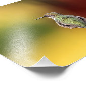 Hummingbird Pose Photo Print Foto Afdruk (Hoek)