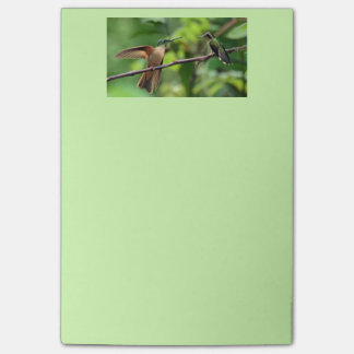 Hummingbird post aantekeningen post-it® notes