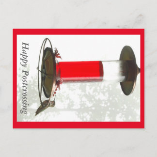 Hummingbird Postcrossong Briefkaart