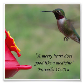 Hummingbird Proverbs 17:20 Bijbelverse foto Afdruk