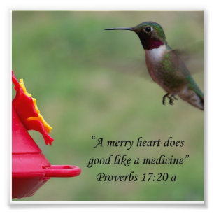 Hummingbird Proverbs 17:20 Bijbelverse foto Foto Afdruk
