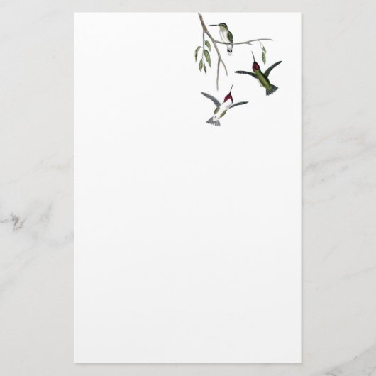 Hummingbird Recycled Stationery Briefpapier (Voorkant)