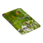 Hummingbird Rest Magneet (Rechterzijde)