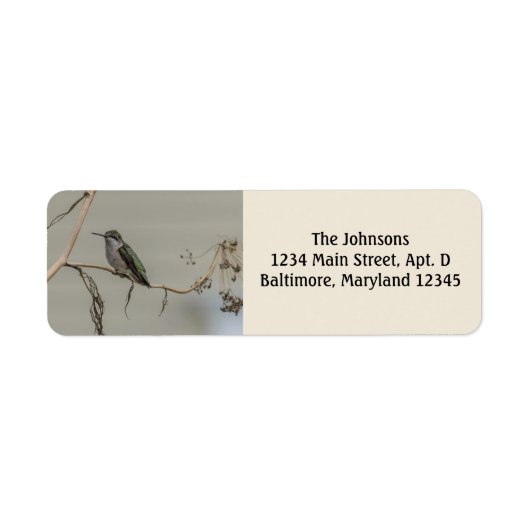 Hummingbird Return Address Labels (Voorkant)