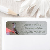 Hummingbird Return Label (Insitu)