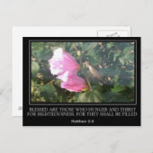 Hummingbird & Roos van Sharon Scripture Post Card Briefkaart (Voorkant / Achterkant)