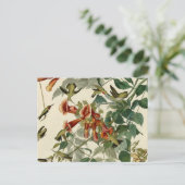 Hummingbird Ruby Throated Audubon Briefkaart (Staand voorkant)