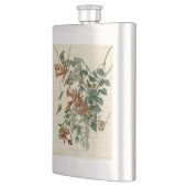 Hummingbird Ruby Throated Audubon Flacon (Links)