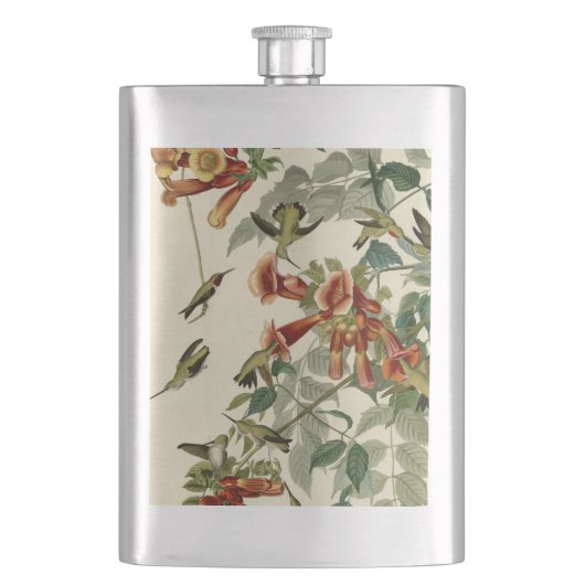 Hummingbird Ruby Throated Audubon Heupfles (Voorkant)