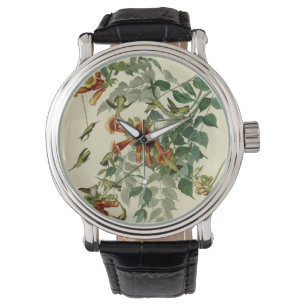 Hummingbird Ruby Throated Audubon Horloge