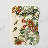 Hummingbird Ruby Throated Audubon Kaart (Voorkant / Achterkant)