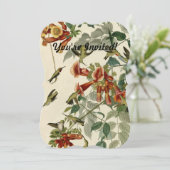 Hummingbird Ruby Throated Audubon Kaart (Staand voorkant)