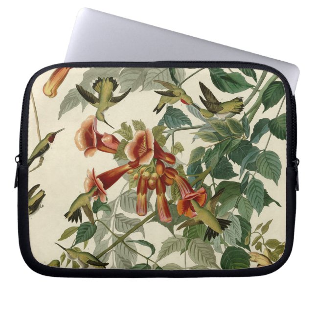 Hummingbird Ruby Throated Audubon Laptop Sleeve (Voorkant)