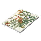 Hummingbird Ruby Throated Audubon Notitieblok (Gedraaid)