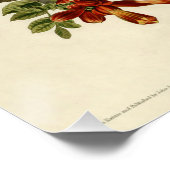 Hummingbird Ruby Throated Audubon Perfect Poster (Hoek)