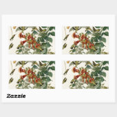 Hummingbird Ruby Throated Audubon Rechthoekige Sticker (Vel)