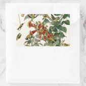 Hummingbird Ruby Throated Audubon Rechthoekige Sticker (Tas)