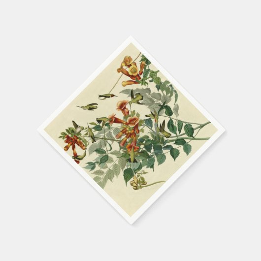 Hummingbird Ruby Throated Audubon Servetten (Hoek)