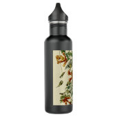 Hummingbird Ruby Throated Audubon Waterfles (Links)