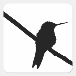 Hummingbird Silhouette Vierkante Sticker