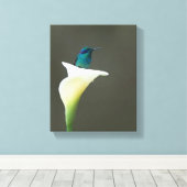 Hummingbird Sitting in Calla Lilly Canvas Afdruk (Insitu (Houten vloer))