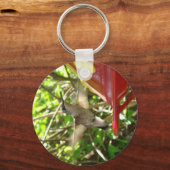 Hummingbird Sleutelhanger (Voorkant)