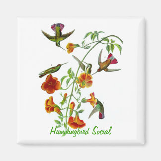 Hummingbird Social Magneet