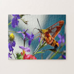Hummingbird Sphinx Moth Butterfly. Legpuzzel