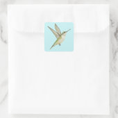 Hummingbird Square Sticker (Tas)