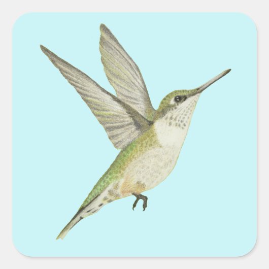 Hummingbird Square Sticker (Voorkant)