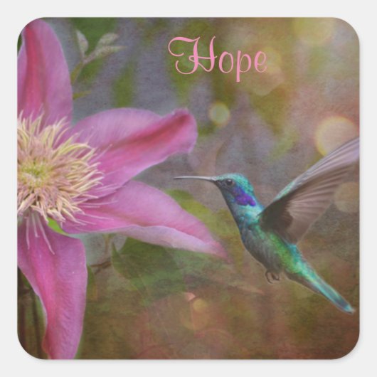 Hummingbird Sticker (Voorkant)