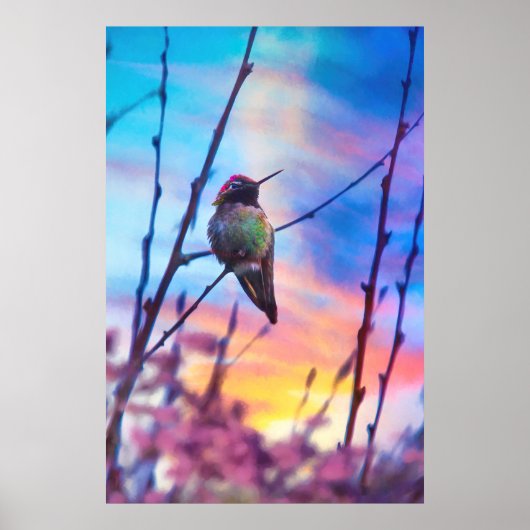 HUMMINGBIRD SUNRISE GLORY POSTER (Voorkant)