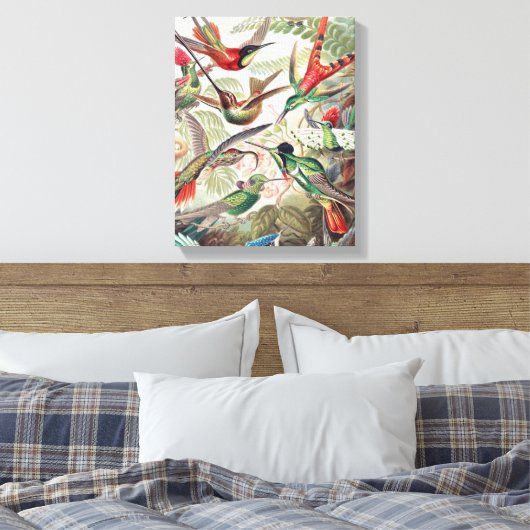 Hummingbird, Trochilidae Kolibris, door Ernst Haec Canvas Afdruk (Insitu (Slaapkamer))