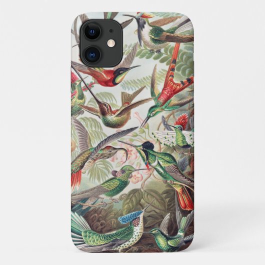 Hummingbird, Trochilidae Kolibris, door Ernst Haec Case-Mate iPhone Case (Achterkant)