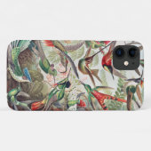 Hummingbird, Trochilidae Kolibris, door Ernst Haec Case-Mate iPhone Case (Achterkant (horizontaal))