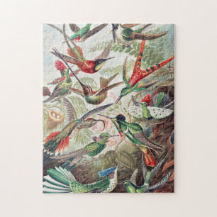 Hummingbird, Trochilidae Kolibris, door Ernst Haec Legpuzzel
