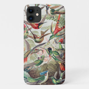 Hummingbird, Trochilidae Kolibris door Ernst Haeck iPhone 11 Hoesje