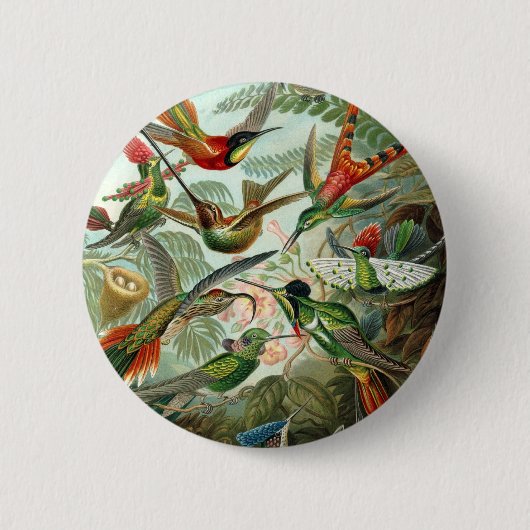 Hummingbird (Trochilidae) van Haeckel Button (Voorkant)