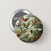 Hummingbird (Trochilidae) van Haeckel Button (Voorkant /achterkant)