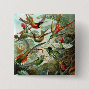 Hummingbird (Trochilidae) van Haeckel Button