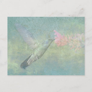 Hummingbird Tune Briefkaart