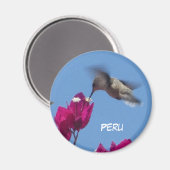 Hummingbird uit Peru Magnet Magneet (Voorkant / Achterkant)