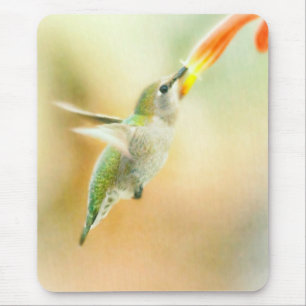 Hummingbird vroeg in de ochtend muismat