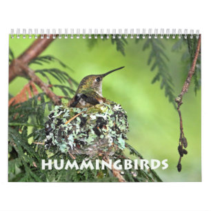 Hummingbird Wall Agenda Kalender