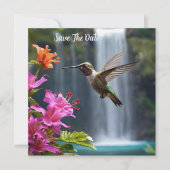 Hummingbird Waterfall Park, Save The Date (Voorkant)