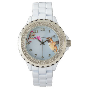 Hummingbird Wild in Natuur Horloge