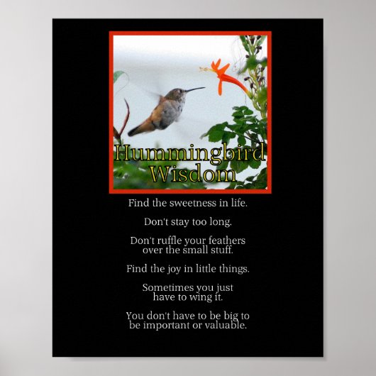 Hummingbird Wisdom Poster (Voorkant)